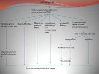 pancytopenia


                                       History,examination,CBC,retic
                                       count,serum iron/TIBC




                                         Blast,hypo   Unexplained       No specific    Hypersegmented
Palpable spleen      Sepsis/bleeding                                                   PMNs,marked
with increased retic                     granular     splenomegal       finding
                                         PMNs         y/M                              anisopoikilocytosis
                                                      protein/meta
                                                      stasis
                                                                                             Trial of B12 and folic acid

                                                                               No response                 response



                                                                       Acid hemolysis test

Hypersplenism/m
alaria/leishmanias
is

                                                                        HIV antibody


                             Bone marrow aspiration and biopsy
 