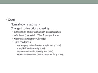Investigations of renal disease presentationfik.pptx