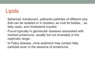Investigations of renal disease presentationfik.pptx