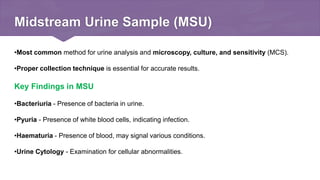 Comprehensive Investigations and Analysis in Urology: Urine Analysis ...