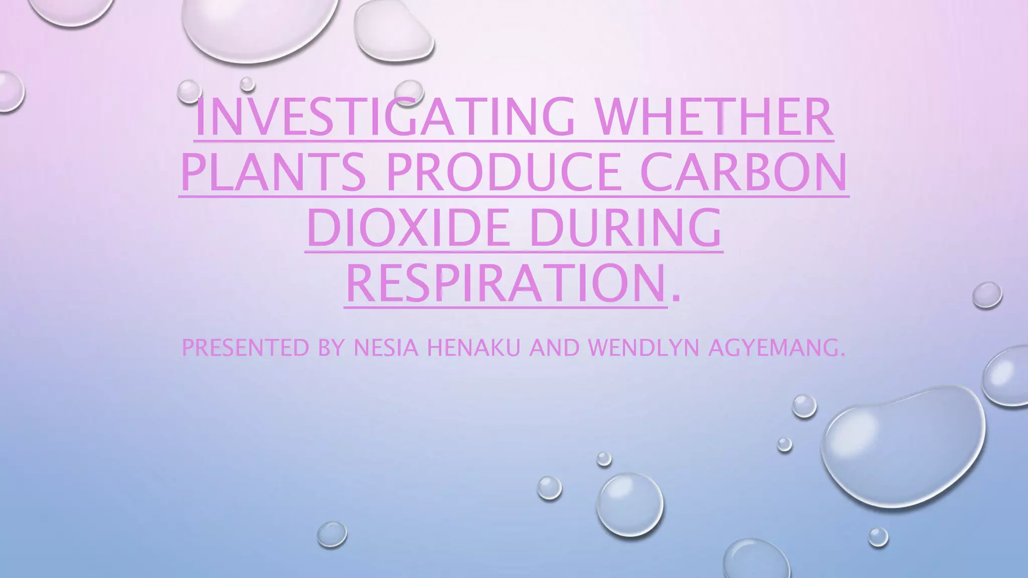 investigatng whether plants produce carbon dioxide during respiration