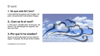 El vent
1. De què está fet l’aire?
L’aire està fet de gasos com l’oxígen, de
pots i de partícules molt petites d’aigua.
2.- Com es fa el vent?
L’ aire que s´ escalfa amb el sol puja cel
amunt i es reemplaçat de seguida per
aire mes fred.
3.-Per què hi ha onades?
Quan el vent bufa sobre el mar aixeca l’
aigua i l’arqueja. És ell qui fa les onades.
Investigadores de les plantes
 