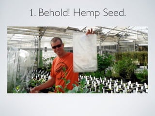 One Acre of Hemp
•Grain sale price:
Conventional ~.80/lb
Organic ~1.40/lb	

!
•Seeds cost/acre: ~ $130
(30 lbs at $4.30/lb...