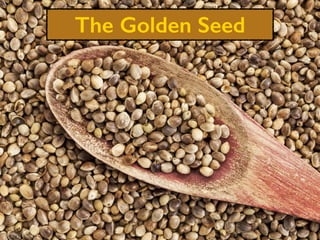 The Golden Seed
 