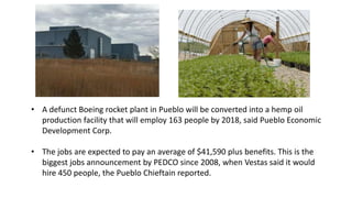 • A defunct Boeing rocket plant in Pueblo will be converted into a hemp oil
production facility that will employ 163 people by 2018, said Pueblo Economic
Development Corp.
• The jobs are expected to pay an average of $41,590 plus benefits. This is the
biggest jobs announcement by PEDCO since 2008, when Vestas said it would
hire 450 people, the Pueblo Chieftain reported.
 