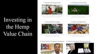 Investing in
the Hemp
Value Chain
 