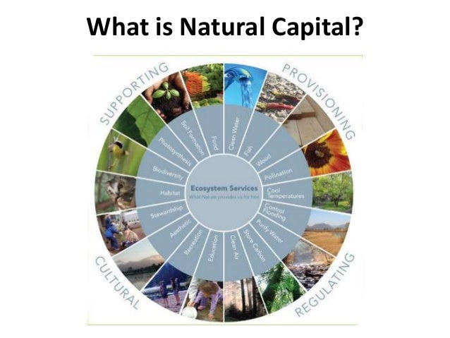 Using Up Natural Resources Using Up Natural Resources