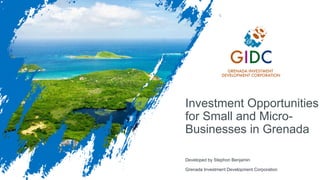 Investment Opportunities
for Small and Micro-
Businesses in Grenada
Developed by Stephon Benjamin
Grenada Investment Development Corporation
 