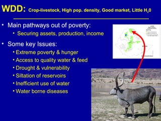 Investing in water to support livestock sector growth in sub-Saharan Africa
