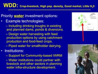 Investing in water to support livestock sector growth in sub-Saharan Africa