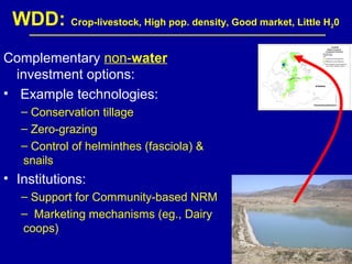 Investing in water to support livestock sector growth in sub-Saharan Africa