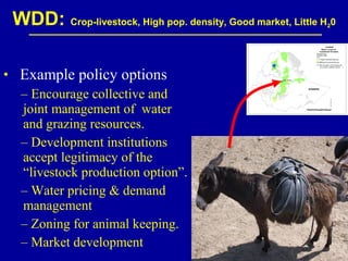 Investing in water to support livestock sector growth in sub-Saharan Africa