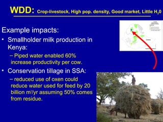 Investing in water to support livestock sector growth in sub-Saharan Africa