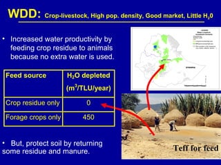 Investing in water to support livestock sector growth in sub-Saharan Africa