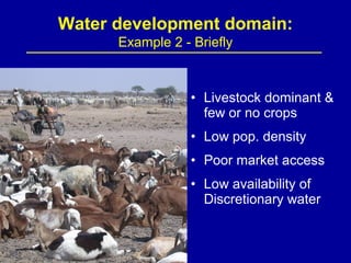 Investing in water to support livestock sector growth in sub-Saharan Africa
