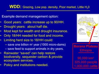 Investing in water to support livestock sector growth in sub-Saharan Africa