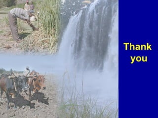 Investing in water to support livestock sector growth in sub-Saharan Africa