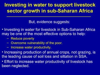 Investing in water to support livestock sector growth in sub-Saharan Africa