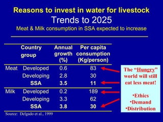 Investing in water to support livestock sector growth in sub-Saharan Africa