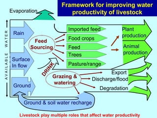 Investing in water to support livestock sector growth in sub-Saharan Africa