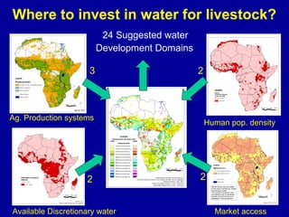 Investing in water to support livestock sector growth in sub-Saharan Africa