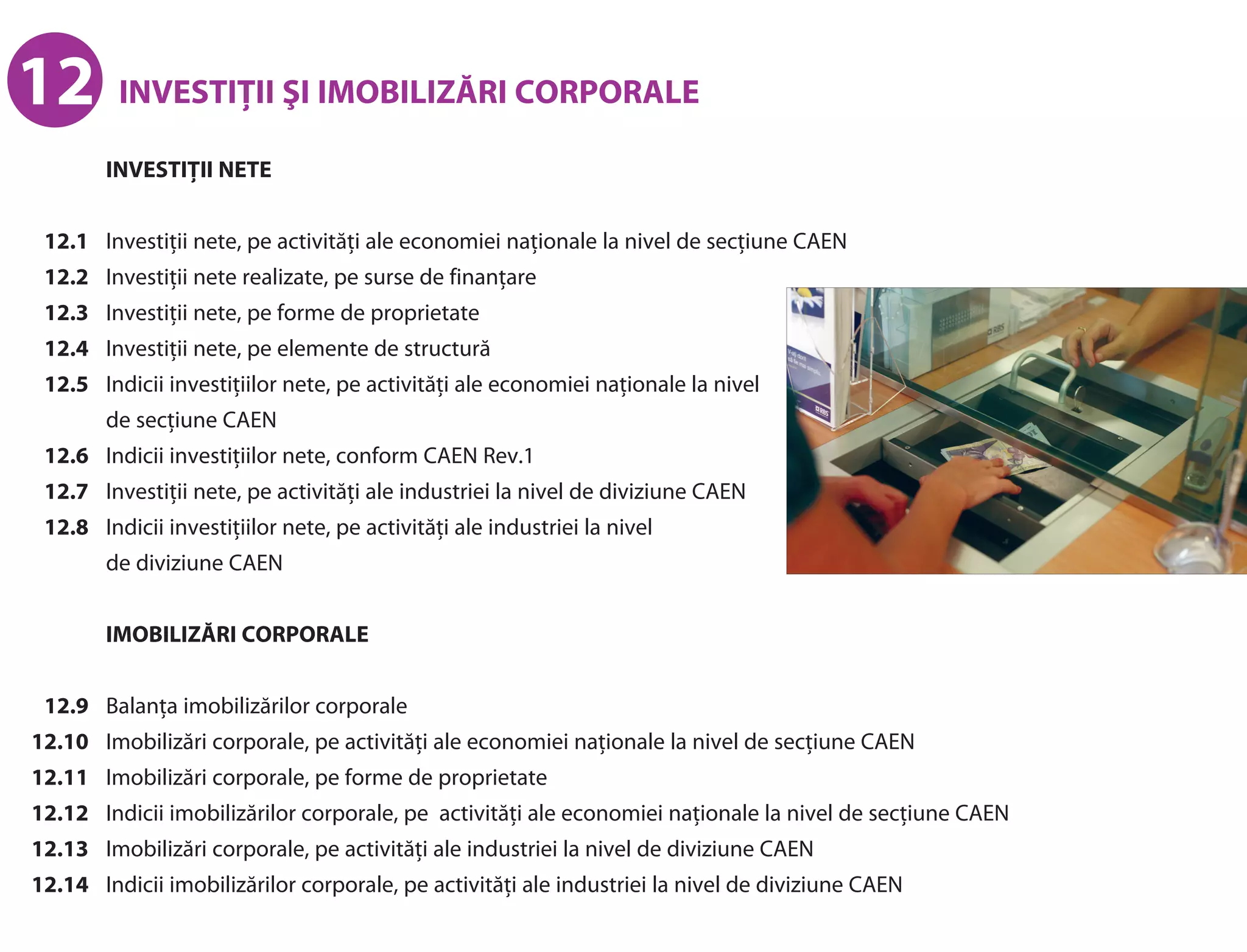 Investitii si imobilizari corporale PDF Construction Industry