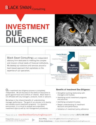 INVESTMENT
DUE
DILIGENCE
Our investment due diligence process is completely
independent. We are focused on the needs of fiduciaries to
guard against fraud and conflicts of interest. Black Swan is
not affiliated with any managers, products, funds or advisors.
We believe in the inherent benefits of understanding
manager performance. The goal of our process is to identify
and validate sound investment programs. In a dynamic
environment, it is critical to analyze and understand
investment style as well as risk management procedures.
Black Swan Consulting is an independent
advisory firm dedicated to meeting the complex
and mission critical needs of financial institutions.
We develop our solutions and services around a
team-based approach that capitalizes on the
expertise of our specialists.
Benefits of Investment Due Diligence:
•	Strengthen working relationship with
managers and trustees
•	Identifying sound investment programs
and practices
•	Identifying competent trustees
•	Deeper understanding of investment
decisions and performance
•	Validation of investment policy adherence
Aaron Wong | Aaron.Wong@BlackSwanConsultingGroup.com
Kristen Verberkmoes |  Kristen.Verberkmoes@BlackSwanConsultingGroup.com
Please visit us at: www.BlackSwanConsultingGroup.com Our telephone number is (917) 338-2380
Inquiries related to our products
and services can be directed to
Capital Markets
Underwriting
Trading
Investment Management
Valuation
Risk Management
Surveillance
Accounting
Auditing
Legal  Compliance
Regulatory Compliance
Legal Case Review
Technology Development
Cash Flow Analytics
Performance Surveillance
Data Visualization
Multi-
Disciplinary
Approach
 