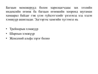 Багцын менежерүүд болон харилцагчдаас зах зээлийн
индексийн өгөөж ба багцын өгөөжийн хооронд шугаман
хамаарал байдаг гэж үзэн гүйцэтгэлийг үнэлэхэд хэд хэдэн
хэмжүүр ашигладаг. Эдгээрээс хамгийн түгээмэл нь
• Трейнорын хэмжүүр
• Шарпын хэмжүүр
• Женсений альфа зэрэг болно
 