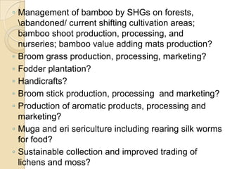 Management of bamboo by SHGs on forests, \abandoned/ current shifting cultivation areas; bamboo shoot production, processing, and nurseries; bamboo value adding mats production?Broom grass production, processing, marketing?Fodder plantation?Handicrafts?Broom stick production, processing  and marketing?Production of aromatic products, processing and marketing?Muga and eri sericulture including rearing silk worms for food?Sustainable collection and improved trading of lichens and moss? 