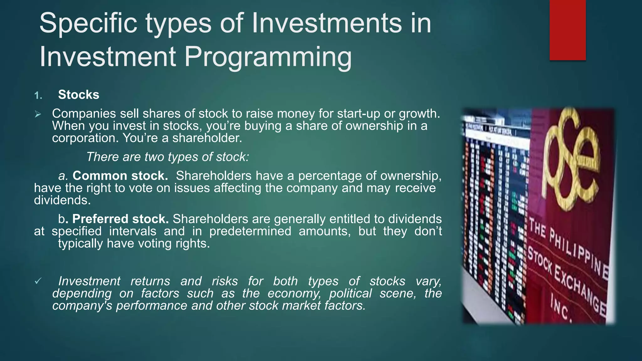 Investment Programming | PPTX
