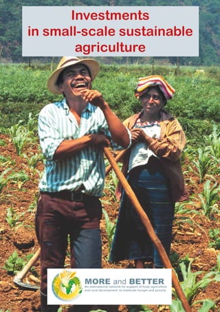 - 1 -
Investments
in small-scale sustainable
agriculture
 