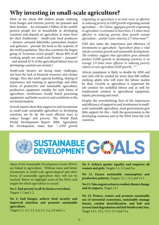 Investments in small scale sustainable agriculture | PDF