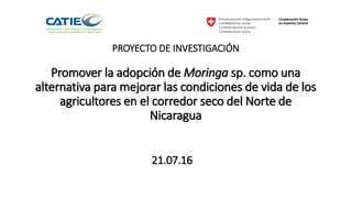 PROYECTO DE INVESTIGACIÓN
Promover la adopción de Moringa sp. como una
alternativa para mejorar las condiciones de vida de los
agricultores en el corredor seco del Norte de
Nicaragua
21.07.16
 