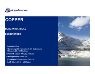 COPPER
DUNCAN WANBLAD
LOS BRONCES

• Location: Chile
• Ownership: 50.1% Anglo; 29.5% Codelco and
Mitsui JV; 20.4% Mitsubishi

•
•
•
•

Product: Copper (Moly by-product)
Mining method: Open pit
Processing: Concentrate, Cathode
LoM: 36 yrs (2049 – LOM plan)

 