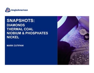 SNAPSHOTS:
DIAMONDS
THERMAL COAL
NIOBIUM & PHOSPHATES
NICKEL
MARK CUTIFANI

 