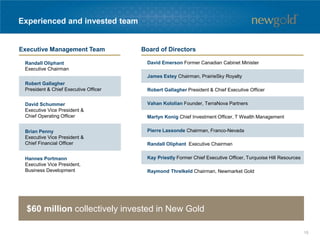 Experienced and invested team
David Emerson Former Canadian Cabinet Minister
James Estey Chairman, PrairieSky Royalty
Robert Gallagher President & Chief Executive Officer
Vahan Kololian Founder, TerraNova Partners
Martyn Konig Chief Investment Officer, T Wealth Management
Pierre Lassonde Chairman, Franco-Nevada
Randall Oliphant Executive Chairman
Kay Priestly Former Chief Executive Officer, Turquoise Hill Resources
Raymond Threlkeld Chairman, Newmarket Gold
Randall Oliphant
Executive Chairman
Robert Gallagher
President & Chief Executive Officer
David Schummer
Executive Vice President &
Chief Operating Officer
Brian Penny
Executive Vice President &
Chief Financial Officer
Hannes Portmann
Executive Vice President,
Business Development
Executive Management Team Board of Directors
$60 million collectively invested in New Gold
15
 