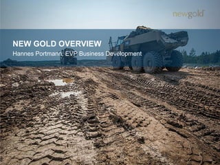 NEW GOLD OVERVIEW
Hannes Portmann, EVP Business Development
22
 