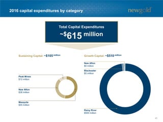 2016 capital expenditures by category
Sustaining Capital: ~$105 million Growth Capital: ~$510 million
Mesquite
$55 million
New Afton
$38 million
Peak Mines
$12 million
Rainy River
$500 million
Blackwater
$5 million
New Afton
$5 million
Total Capital Expenditures
~$615 million
40
 