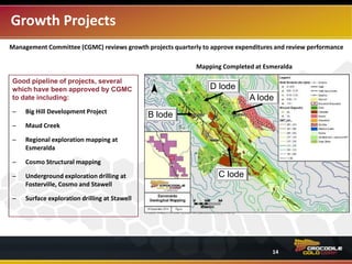 South
Gandy’s
Growth Projects
The Crocodile Gold Management Committee (“CGMC”) reviews available growth projects quarterly to establish
priorities, approve expenditures and to review performance.
D lode
B lode
A lode
C lode
Good pipeline of projects, several
which have been approved by CGMC
to date including:
‒ Big Hill Development Project
‒ Maud Creek
‒ Regional exploration mapping at
Esmeralda
‒ Cosmo Structural mapping
‒ Underground exploration drilling at
Fosterville, Cosmo and Stawell
‒ Surface exploration drilling at Stawell
Mapping Completed at Esmeralda
14
 