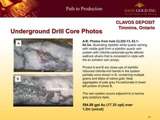 Path to Production

                                                   CLAVOS DEPOSIT
                                                    Timmins, Ontario
Underground Drill Core Photos
                         A-B: Photos from hole CL252-13, 63.1-
  A                      64.3m, illustrating stylolitic white quartz veining
                         with visible gold from a stylolitic quartz vein
                         system with chlorite-carbonate-pyrite altered
                         wallrock slivers that is consistent in style with
                         the en echelon vein arrays.

                         Photos A and B are close-ups of stylolitic
                         ribboned chlorite-rich bands in the system
                         partially zone shown in B, containing multiple
 B                       grains and blebs of native gold. Note
                         aggregates of pale grey Fe-carbonate in lower
                         left portion of photo B.

                         The vein system occurs adjacent to a narrow
                         grey porphyry dyke.

                         594.88 gpt Au (17.35 opt) over
                         1.2m (uncut)

                                                                               14
 