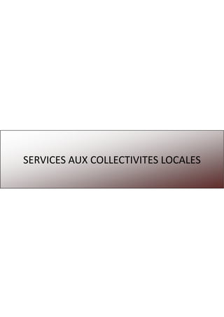 SERVICES AUX COLLECTIVITES LOCALES
 