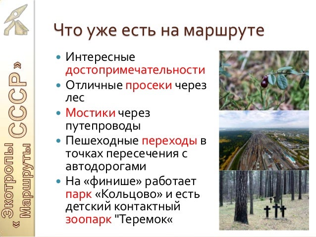 Защита гранта презентация