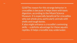 Q18)The reason for this strange behavior in
crocodiles is because it helps them with basic
digestion, according to the Miami Science
Museum. X is especially beneﬁcial for crocodiles
who eat whole prey, particularly animals with
shells and tough bones.
X also might enhance a crocodile's swimming
skills -- a deﬁnite advantage for these aquatic
reptiles. It helps crocodile stay underwater.
 