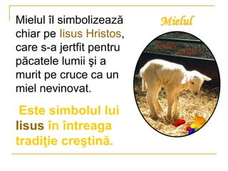 MielulMielul îl simbolizează
chiar pe Iisus Hristos,
care s-a jertfit pentru
păcatele lumii şi a
murit pe cruce ca un
miel nevinovat.
Este simbolul lui
Iisus în întreaga
tradiţie creştină.
 