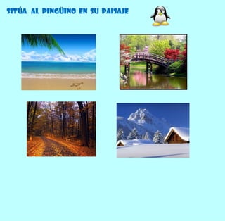 Sitúa al pingüino en su paisaje
 