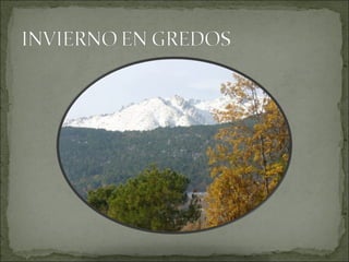 Invierno en Gredos