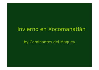 Invierno en Xocomanatlán
by Caminantes del Maguey
 