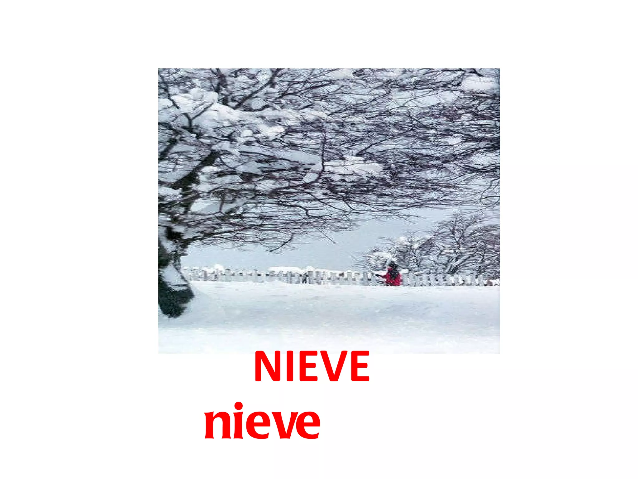NIEVE nieve 