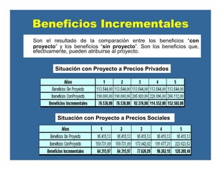 Situación con Proyecto a Precios Privados
Situación con Proyecto a Precios Sociales
Beneficios Incrementales
Son el resultado de la comparación entre los beneficios “con
proyecto” y los beneficios “sin proyecto”. Son los beneficios que,
efectivamente, pueden atribuirse al proyecto.
 