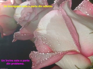 Un învingator este o parte din solutie. Un învins este o parte din problema. 